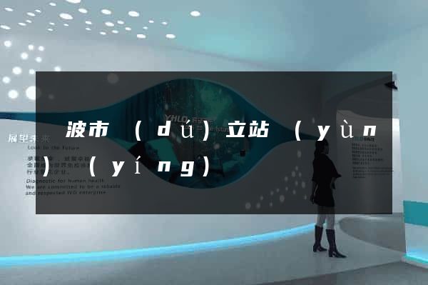 寧波市獨(dú)立站運(yùn)營(yíng)