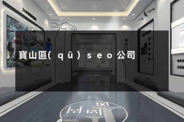 寶山區(qū)seo公司