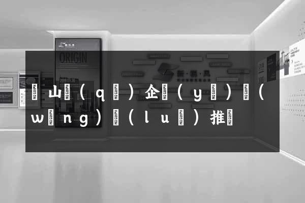 寶山區(qū)企業(yè)網(wǎng)絡(luò)推廣