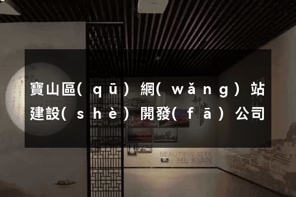 寶山區(qū)網(wǎng)站建設(shè)開發(fā)公司