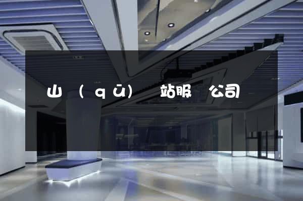 寶山區(qū)網站服務公司