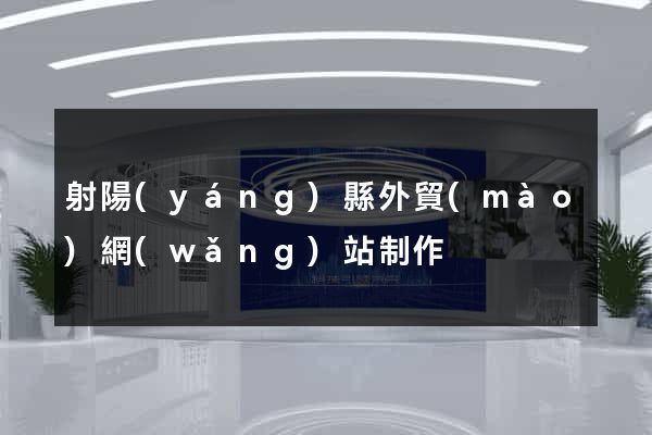 射陽(yáng)縣外貿(mào)網(wǎng)站制作