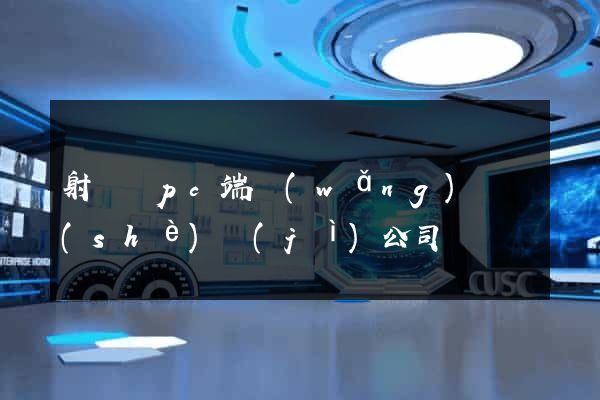 射陽縣pc端網(wǎng)頁設(shè)計(jì)公司