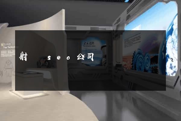 射陽縣seo公司