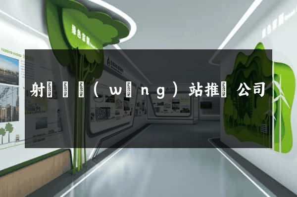 射陽縣網(wǎng)站推廣公司