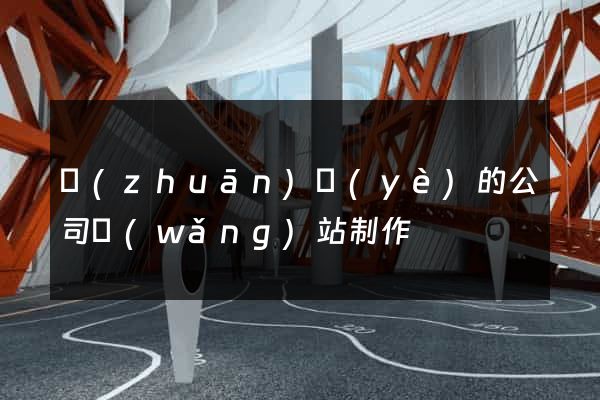 專(zhuān)業(yè)的公司網(wǎng)站制作