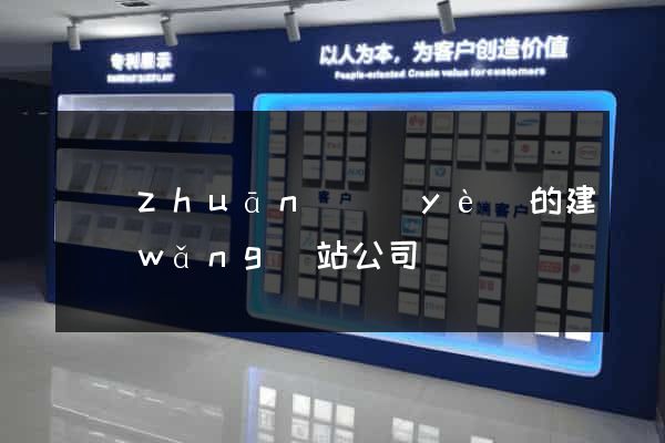 專(zhuān)業(yè)的建網(wǎng)站公司