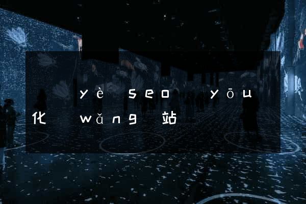 專業(yè)seo優(yōu)化網(wǎng)站