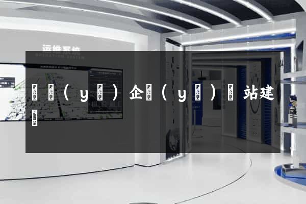 專業(yè)企業(yè)網站建設