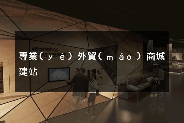 專業(yè)外貿(mào)商城建站