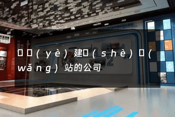 專業(yè)建設(shè)網(wǎng)站的公司