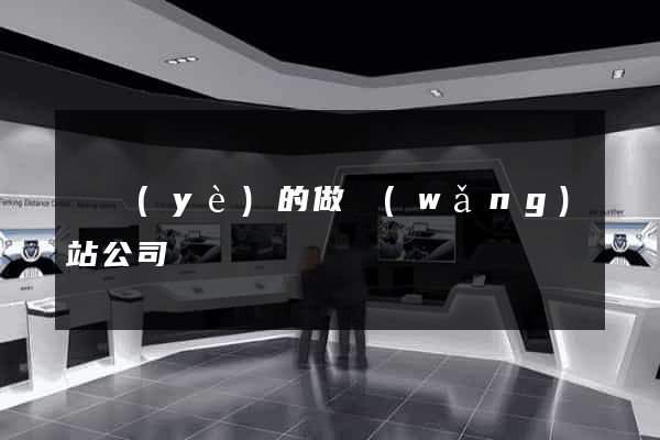 專業(yè)的做網(wǎng)站公司