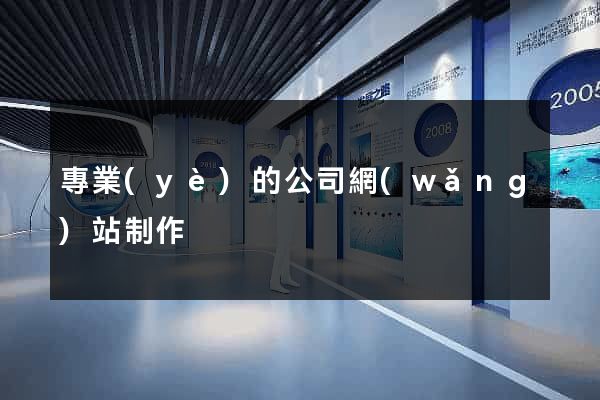 專業(yè)的公司網(wǎng)站制作