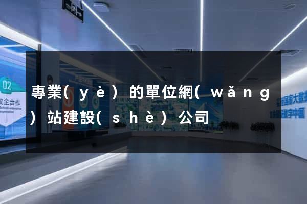 專業(yè)的單位網(wǎng)站建設(shè)公司