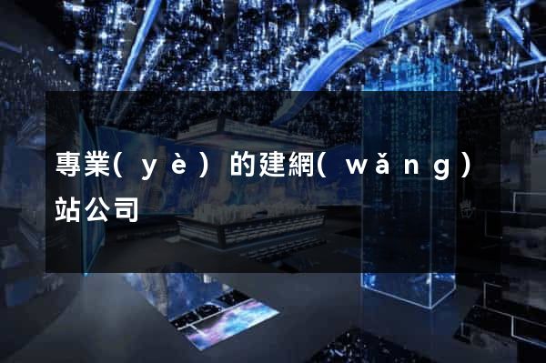 專業(yè)的建網(wǎng)站公司