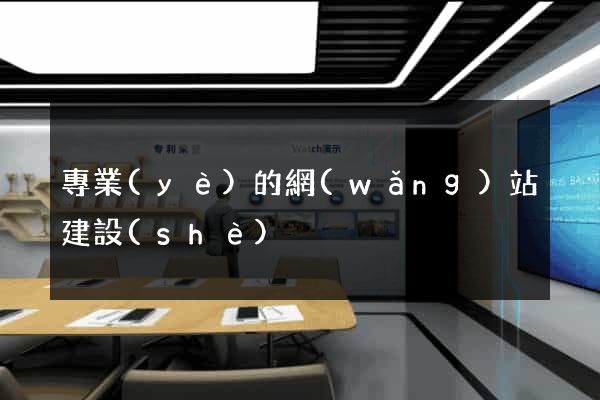 專業(yè)的網(wǎng)站建設(shè)