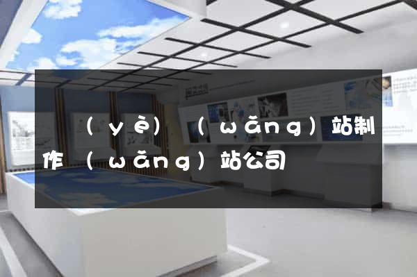 專業(yè)網(wǎng)站制作網(wǎng)站公司