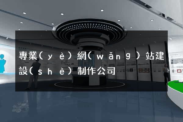 專業(yè)網(wǎng)站建設(shè)制作公司