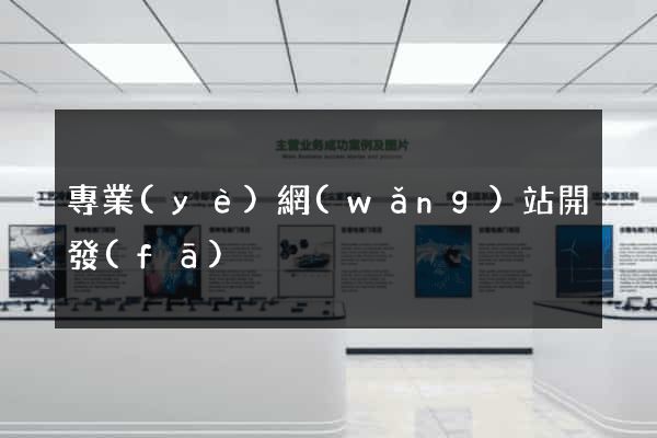 專業(yè)網(wǎng)站開發(fā)