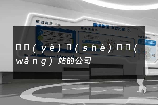 專業(yè)設(shè)計網(wǎng)站的公司