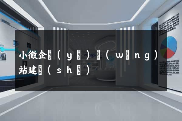 小微企業(yè)網(wǎng)站建設(shè)