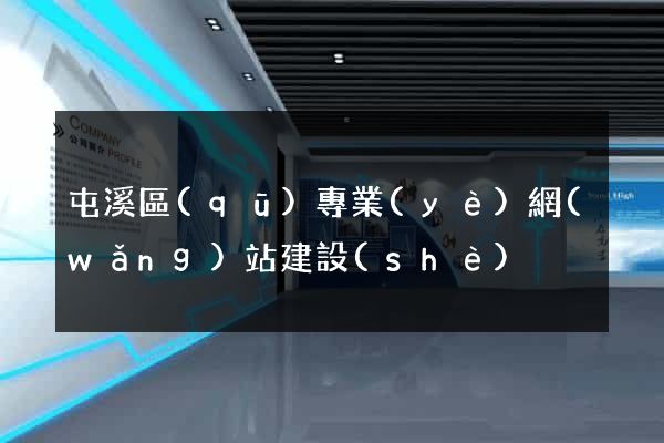 屯溪區(qū)專業(yè)網(wǎng)站建設(shè)