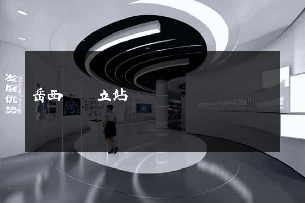 岳西縣獨立站運營