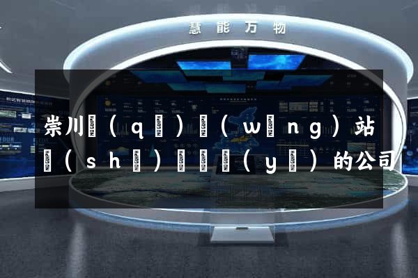 崇川區(qū)網(wǎng)站設(shè)計專業(yè)的公司
