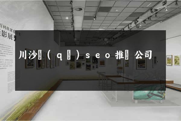 川沙區(qū)seo推廣公司