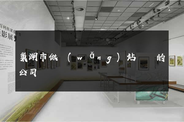 巢湖市做網(wǎng)站設計的公司