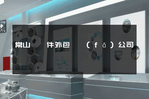 常山縣軟件外包開發(fā)公司