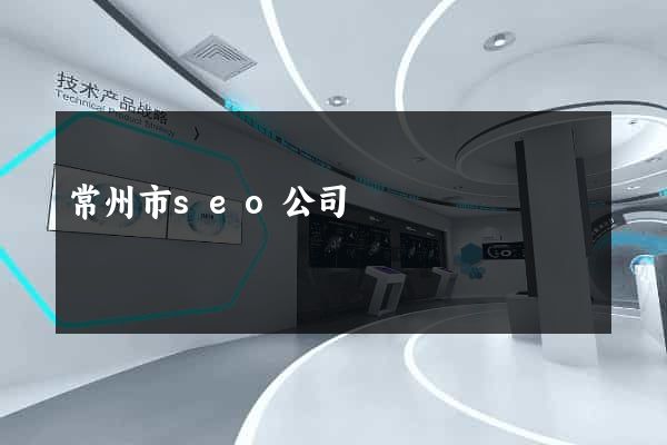 常州市seo公司