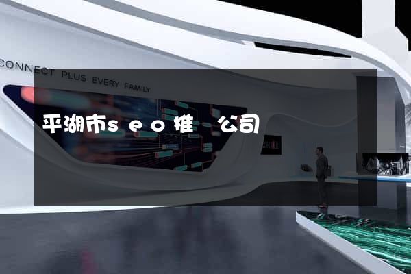平湖市seo推廣公司
