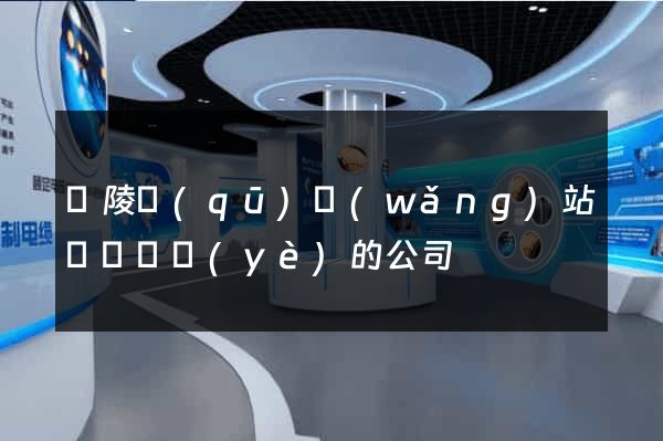 廣陵區(qū)網(wǎng)站設計專業(yè)的公司