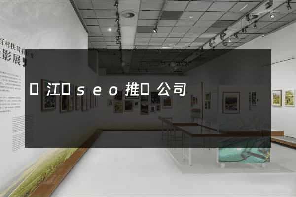 廬江縣seo推廣公司