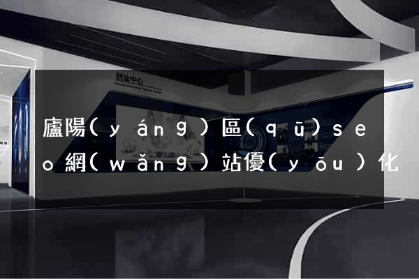 廬陽(yáng)區(qū)seo網(wǎng)站優(yōu)化