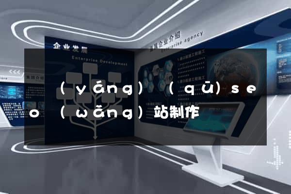 廬陽(yáng)區(qū)seo網(wǎng)站制作