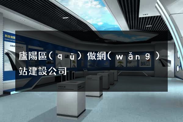 廬陽區(qū)做網(wǎng)站建設公司