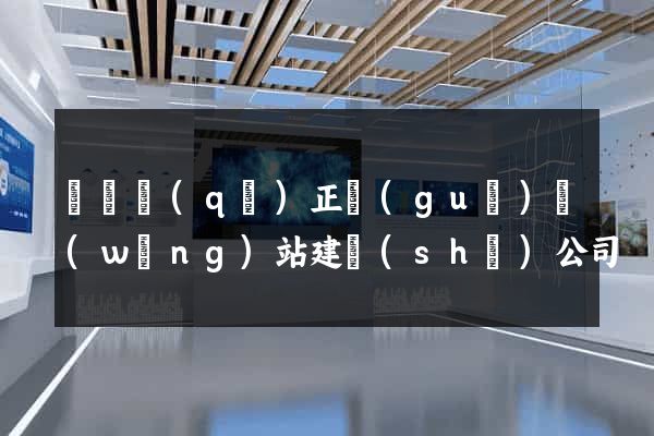 廬陽區(qū)正規(guī)網(wǎng)站建設(shè)公司