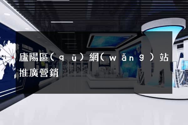 廬陽區(qū)網(wǎng)站推廣營銷