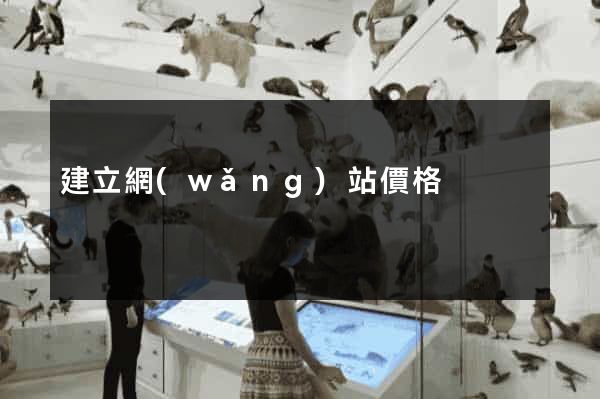 建立網(wǎng)站價格