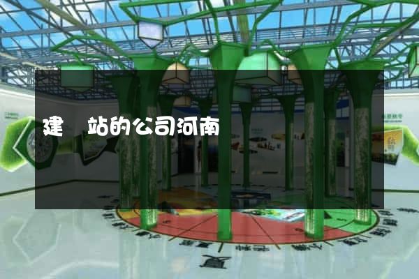 建網站的公司河南
