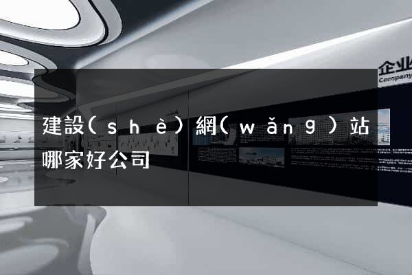建設(shè)網(wǎng)站哪家好公司
