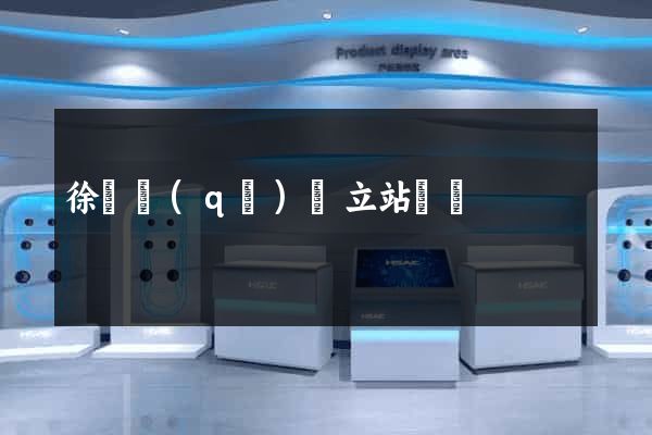 徐匯區(qū)獨立站運營