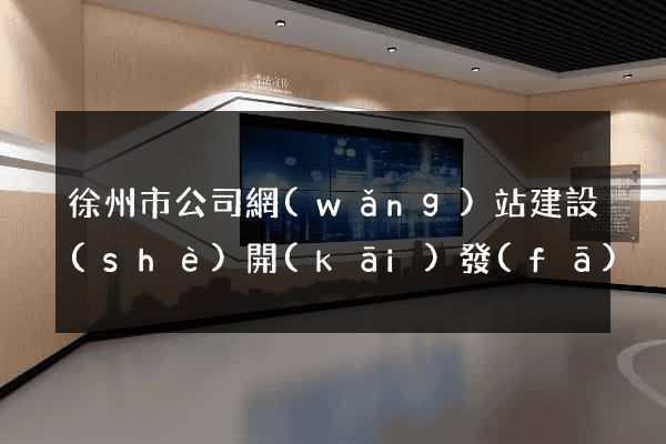 徐州市公司網(wǎng)站建設(shè)開(kāi)發(fā)