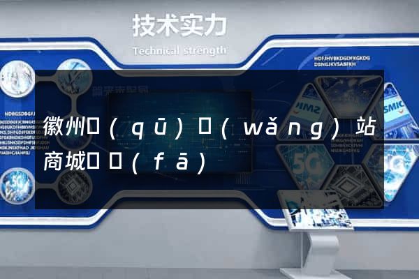 徽州區(qū)網(wǎng)站商城開發(fā)