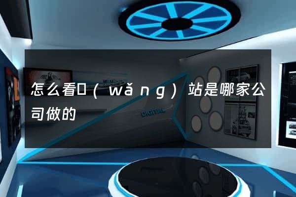 怎么看網(wǎng)站是哪家公司做的