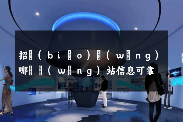 招標(biāo)網(wǎng)哪個網(wǎng)站信息可靠