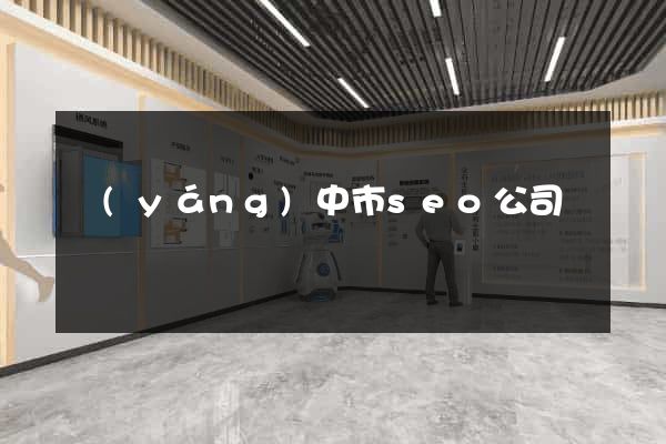 揚(yáng)中市seo公司