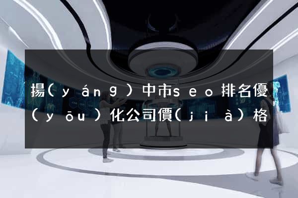 揚(yáng)中市seo排名優(yōu)化公司價(jià)格
